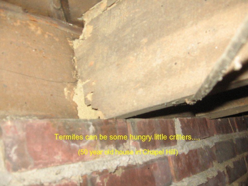 AccuPro interior inspection photo 19