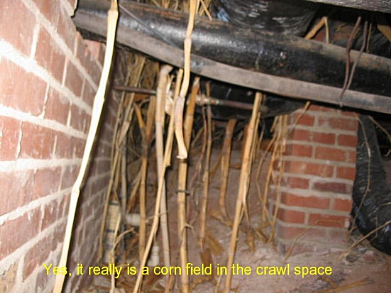 AccuPro roof inspection photo 4